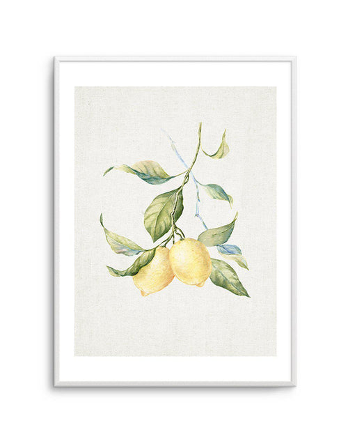 Lemons on Linen III Art Print-PRINT-Olive et Oriel-Olive et Oriel-A5 | 5.8" x 8.3" | 14.8 x 21cm-Unframed Art Print-With White Border-Buy-Australian-Art-Prints-Online-with-Olive-et-Oriel-Your-Artwork-Specialists-Austrailia-Decorate-With-Coastal-Photo-Wall-Art-Prints-From-Our-Beach-House-Artwork-Collection-Fine-Poster-and-Framed-Artwork