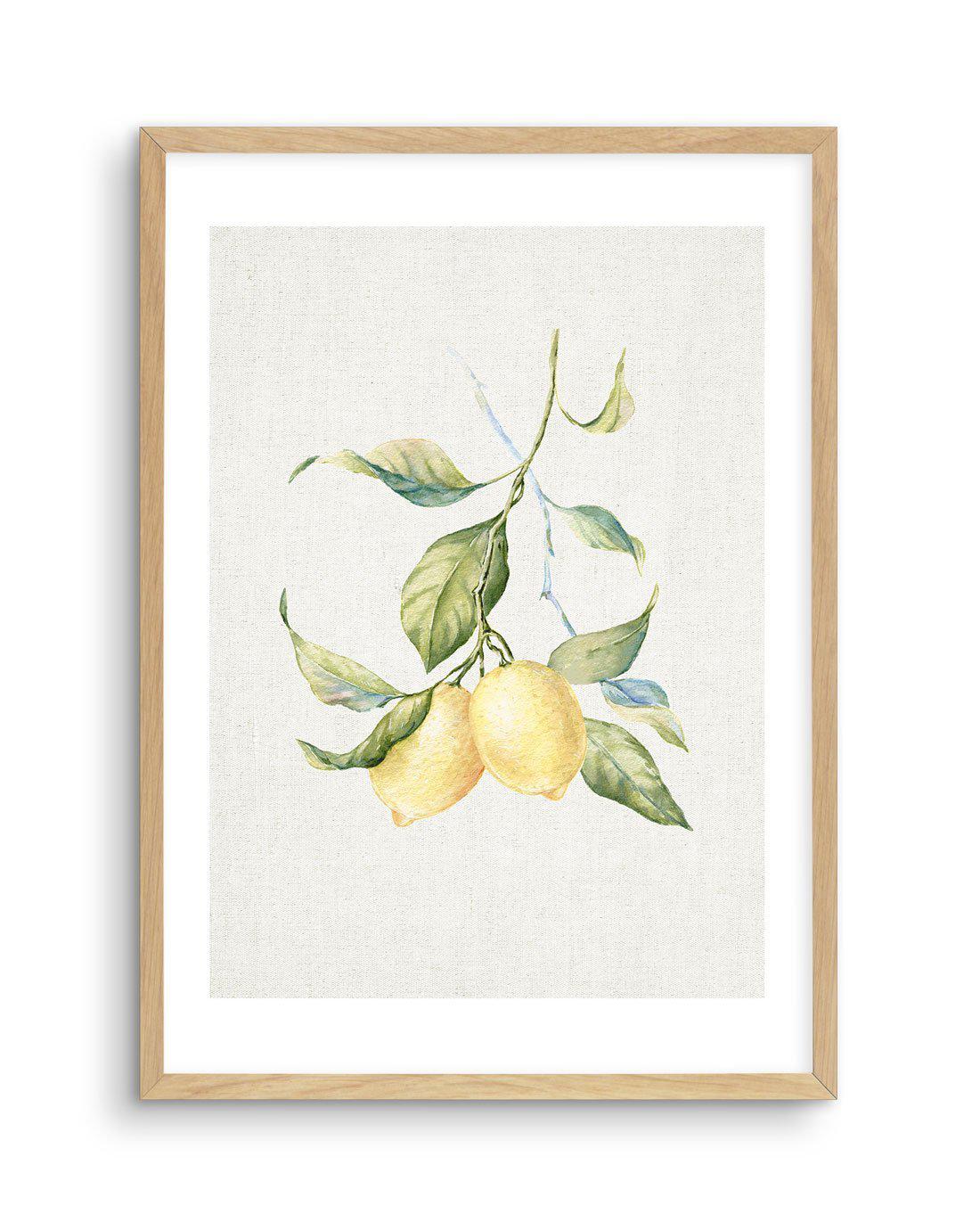 Lemons on Linen III Art Print-PRINT-Olive et Oriel-Olive et Oriel-A5 | 5.8" x 8.3" | 14.8 x 21cm-Oak-With White Border-Buy-Australian-Art-Prints-Online-with-Olive-et-Oriel-Your-Artwork-Specialists-Austrailia-Decorate-With-Coastal-Photo-Wall-Art-Prints-From-Our-Beach-House-Artwork-Collection-Fine-Poster-and-Framed-Artwork