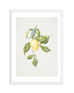 Lemons on Linen I Art Print-PRINT-Olive et Oriel-Olive et Oriel-A5 | 5.8" x 8.3" | 14.8 x 21cm-White-With White Border-Buy-Australian-Art-Prints-Online-with-Olive-et-Oriel-Your-Artwork-Specialists-Austrailia-Decorate-With-Coastal-Photo-Wall-Art-Prints-From-Our-Beach-House-Artwork-Collection-Fine-Poster-and-Framed-Artwork