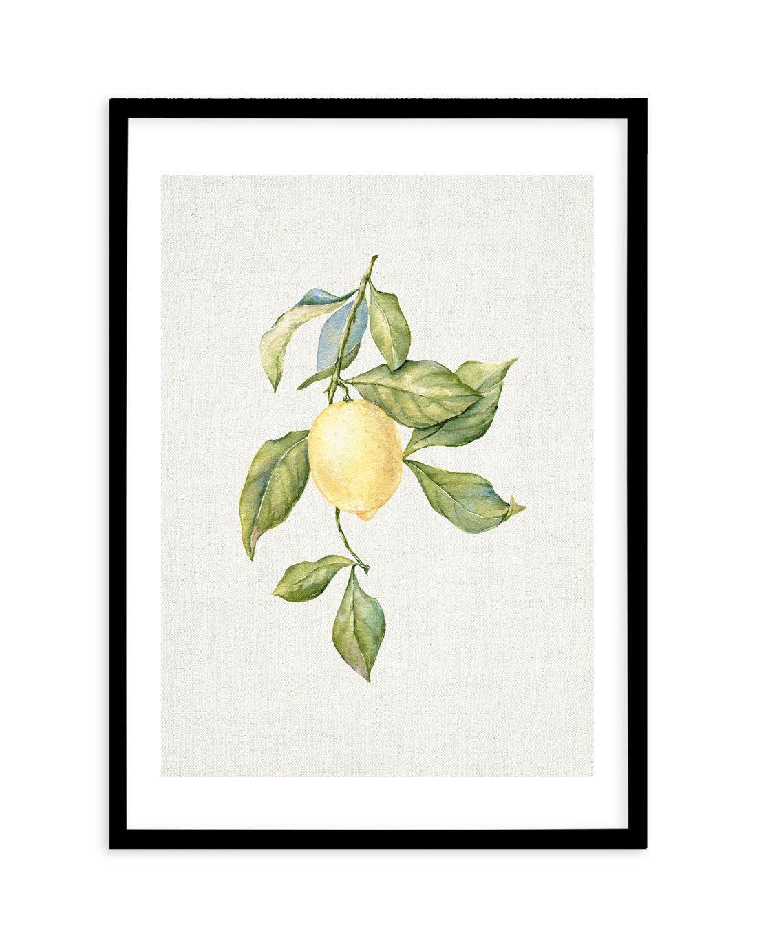 Lemons on Linen I Art Print-PRINT-Olive et Oriel-Olive et Oriel-A5 | 5.8" x 8.3" | 14.8 x 21cm-Black-With White Border-Buy-Australian-Art-Prints-Online-with-Olive-et-Oriel-Your-Artwork-Specialists-Austrailia-Decorate-With-Coastal-Photo-Wall-Art-Prints-From-Our-Beach-House-Artwork-Collection-Fine-Poster-and-Framed-Artwork