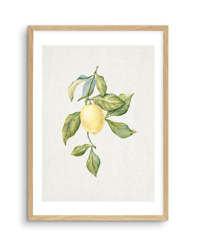 Lemons on Linen I Art Print-PRINT-Olive et Oriel-Olive et Oriel-A5 | 5.8" x 8.3" | 14.8 x 21cm-Oak-With White Border-Buy-Australian-Art-Prints-Online-with-Olive-et-Oriel-Your-Artwork-Specialists-Austrailia-Decorate-With-Coastal-Photo-Wall-Art-Prints-From-Our-Beach-House-Artwork-Collection-Fine-Poster-and-Framed-Artwork