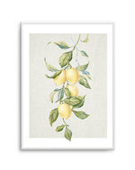 Lemons on Linen II Art Print-PRINT-Olive et Oriel-Olive et Oriel-A5 | 5.8" x 8.3" | 14.8 x 21cm-Unframed Art Print-With White Border-Buy-Australian-Art-Prints-Online-with-Olive-et-Oriel-Your-Artwork-Specialists-Austrailia-Decorate-With-Coastal-Photo-Wall-Art-Prints-From-Our-Beach-House-Artwork-Collection-Fine-Poster-and-Framed-Artwork