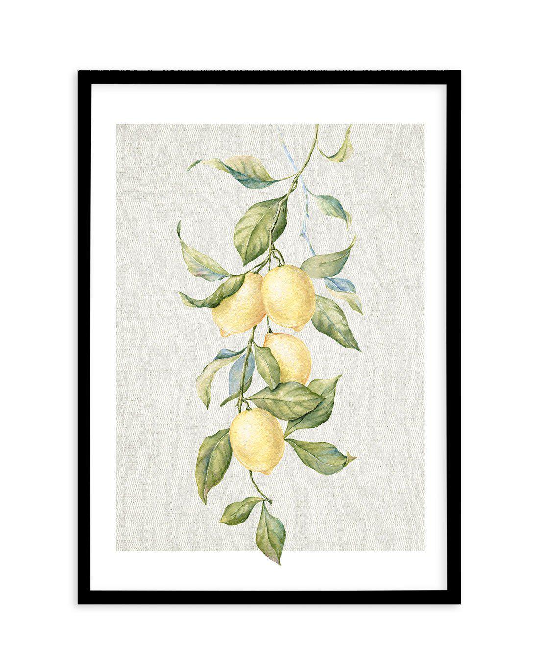 Lemons on Linen II Art Print-PRINT-Olive et Oriel-Olive et Oriel-A5 | 5.8" x 8.3" | 14.8 x 21cm-Black-With White Border-Buy-Australian-Art-Prints-Online-with-Olive-et-Oriel-Your-Artwork-Specialists-Austrailia-Decorate-With-Coastal-Photo-Wall-Art-Prints-From-Our-Beach-House-Artwork-Collection-Fine-Poster-and-Framed-Artwork