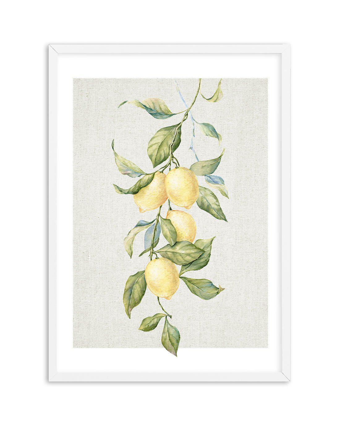 Lemons on Linen II Art Print-PRINT-Olive et Oriel-Olive et Oriel-A5 | 5.8" x 8.3" | 14.8 x 21cm-White-With White Border-Buy-Australian-Art-Prints-Online-with-Olive-et-Oriel-Your-Artwork-Specialists-Austrailia-Decorate-With-Coastal-Photo-Wall-Art-Prints-From-Our-Beach-House-Artwork-Collection-Fine-Poster-and-Framed-Artwork