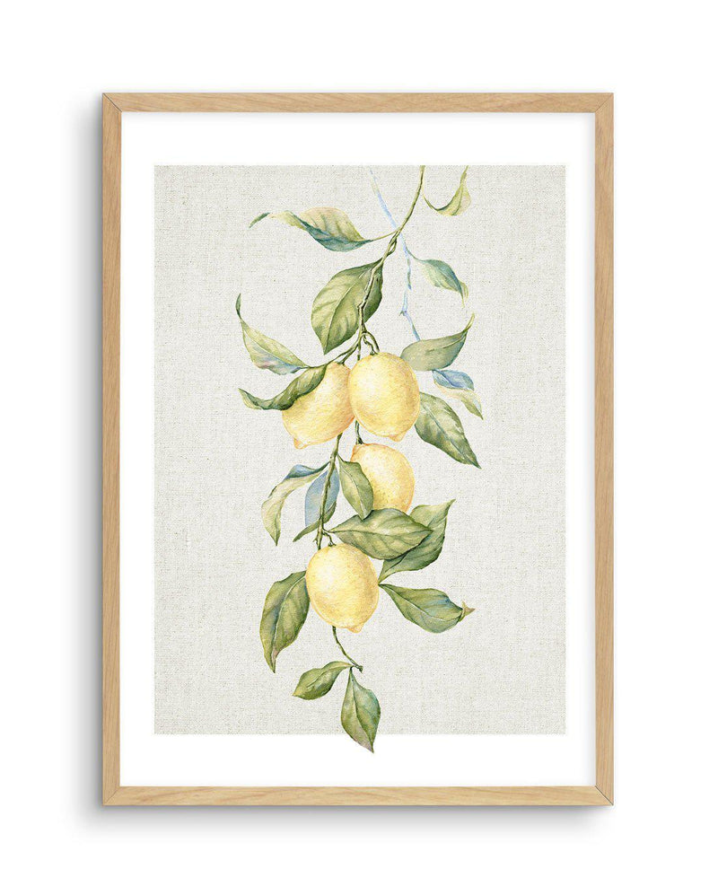 Lemons on Linen II Art Print-PRINT-Olive et Oriel-Olive et Oriel-A5 | 5.8" x 8.3" | 14.8 x 21cm-Oak-With White Border-Buy-Australian-Art-Prints-Online-with-Olive-et-Oriel-Your-Artwork-Specialists-Austrailia-Decorate-With-Coastal-Photo-Wall-Art-Prints-From-Our-Beach-House-Artwork-Collection-Fine-Poster-and-Framed-Artwork