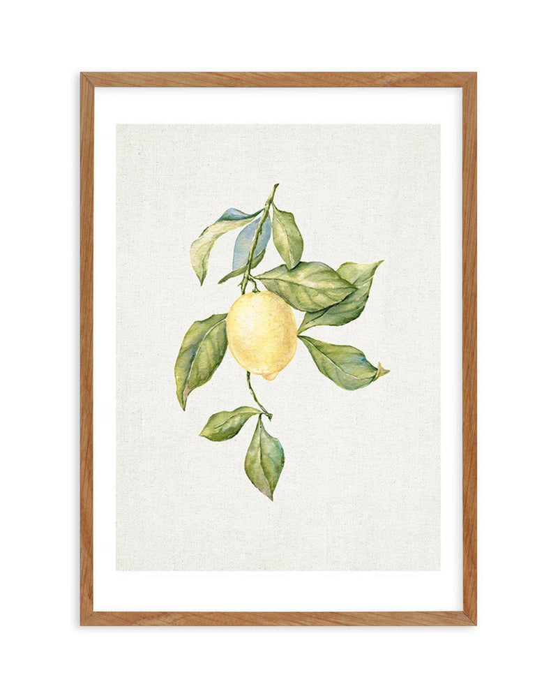 Lemons on Linen I Art Print-PRINT-Olive et Oriel-Olive et Oriel-50x70 cm | 19.6" x 27.5"-Walnut-With White Border-Buy-Australian-Art-Prints-Online-with-Olive-et-Oriel-Your-Artwork-Specialists-Austrailia-Decorate-With-Coastal-Photo-Wall-Art-Prints-From-Our-Beach-House-Artwork-Collection-Fine-Poster-and-Framed-Artwork