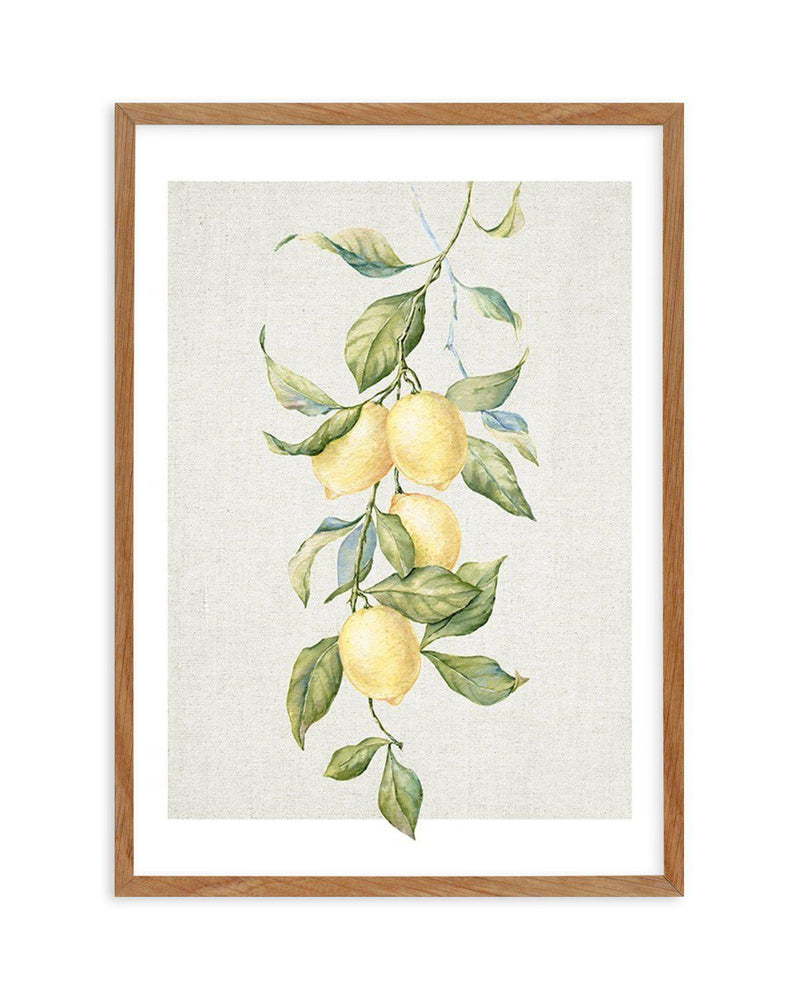 Lemons on Linen II Art Print-PRINT-Olive et Oriel-Olive et Oriel-50x70 cm | 19.6" x 27.5"-Walnut-With White Border-Buy-Australian-Art-Prints-Online-with-Olive-et-Oriel-Your-Artwork-Specialists-Austrailia-Decorate-With-Coastal-Photo-Wall-Art-Prints-From-Our-Beach-House-Artwork-Collection-Fine-Poster-and-Framed-Artwork