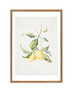 Lemons on Linen III Art Print-PRINT-Olive et Oriel-Olive et Oriel-50x70 cm | 19.6" x 27.5"-Walnut-With White Border-Buy-Australian-Art-Prints-Online-with-Olive-et-Oriel-Your-Artwork-Specialists-Austrailia-Decorate-With-Coastal-Photo-Wall-Art-Prints-From-Our-Beach-House-Artwork-Collection-Fine-Poster-and-Framed-Artwork