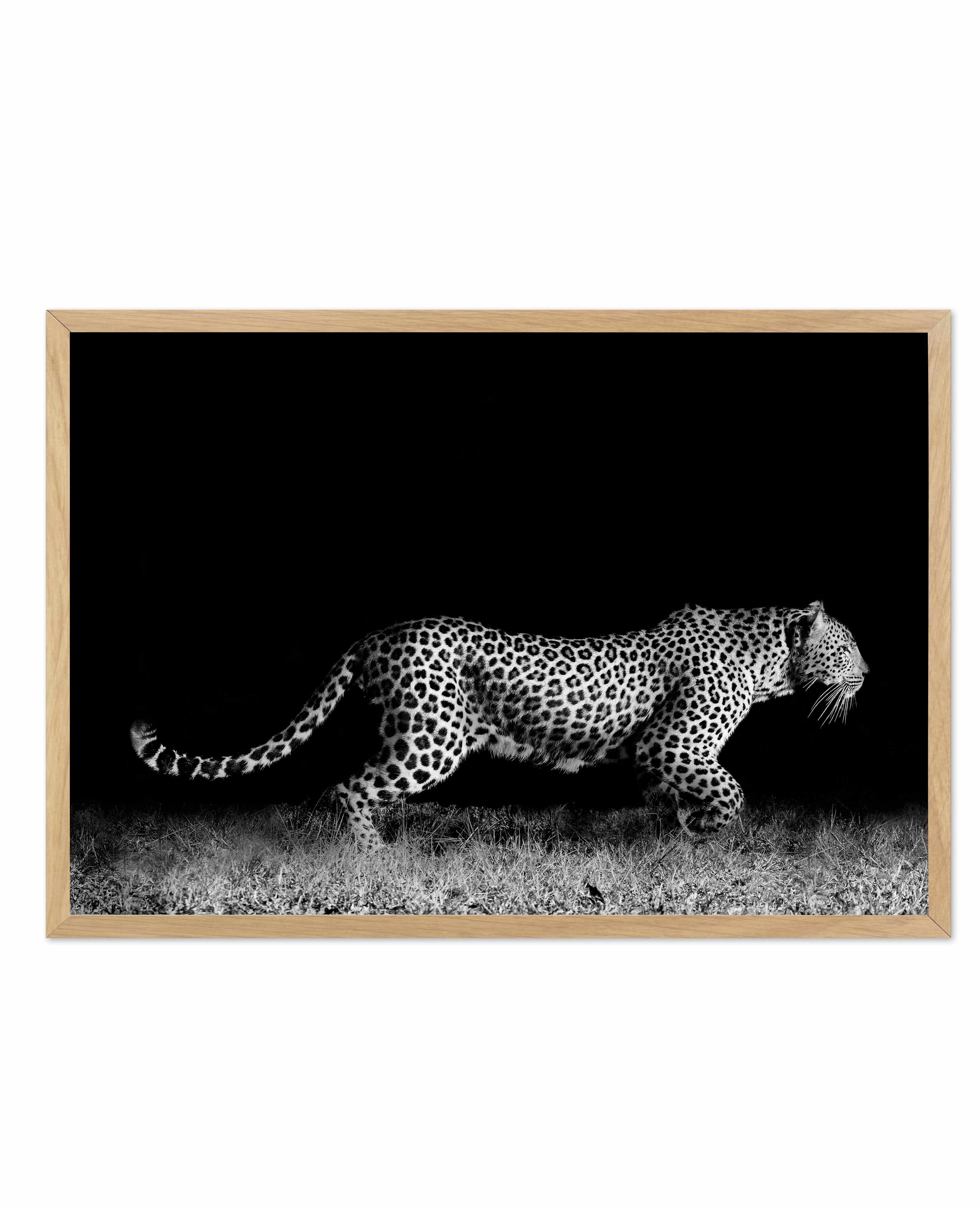 Leopard De Nuit | LS Art Print-PRINT-Olive et Oriel-Olive et Oriel-A5 | 5.8" x 8.3" | 14.8 x 21cm-Oak-With White Border-Buy-Australian-Art-Prints-Online-with-Olive-et-Oriel-Your-Artwork-Specialists-Austrailia-Decorate-With-Coastal-Photo-Wall-Art-Prints-From-Our-Beach-House-Artwork-Collection-Fine-Poster-and-Framed-Artwork