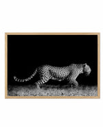 Leopard De Nuit | LS Art Print-PRINT-Olive et Oriel-Olive et Oriel-A5 | 5.8" x 8.3" | 14.8 x 21cm-Oak-With White Border-Buy-Australian-Art-Prints-Online-with-Olive-et-Oriel-Your-Artwork-Specialists-Austrailia-Decorate-With-Coastal-Photo-Wall-Art-Prints-From-Our-Beach-House-Artwork-Collection-Fine-Poster-and-Framed-Artwork