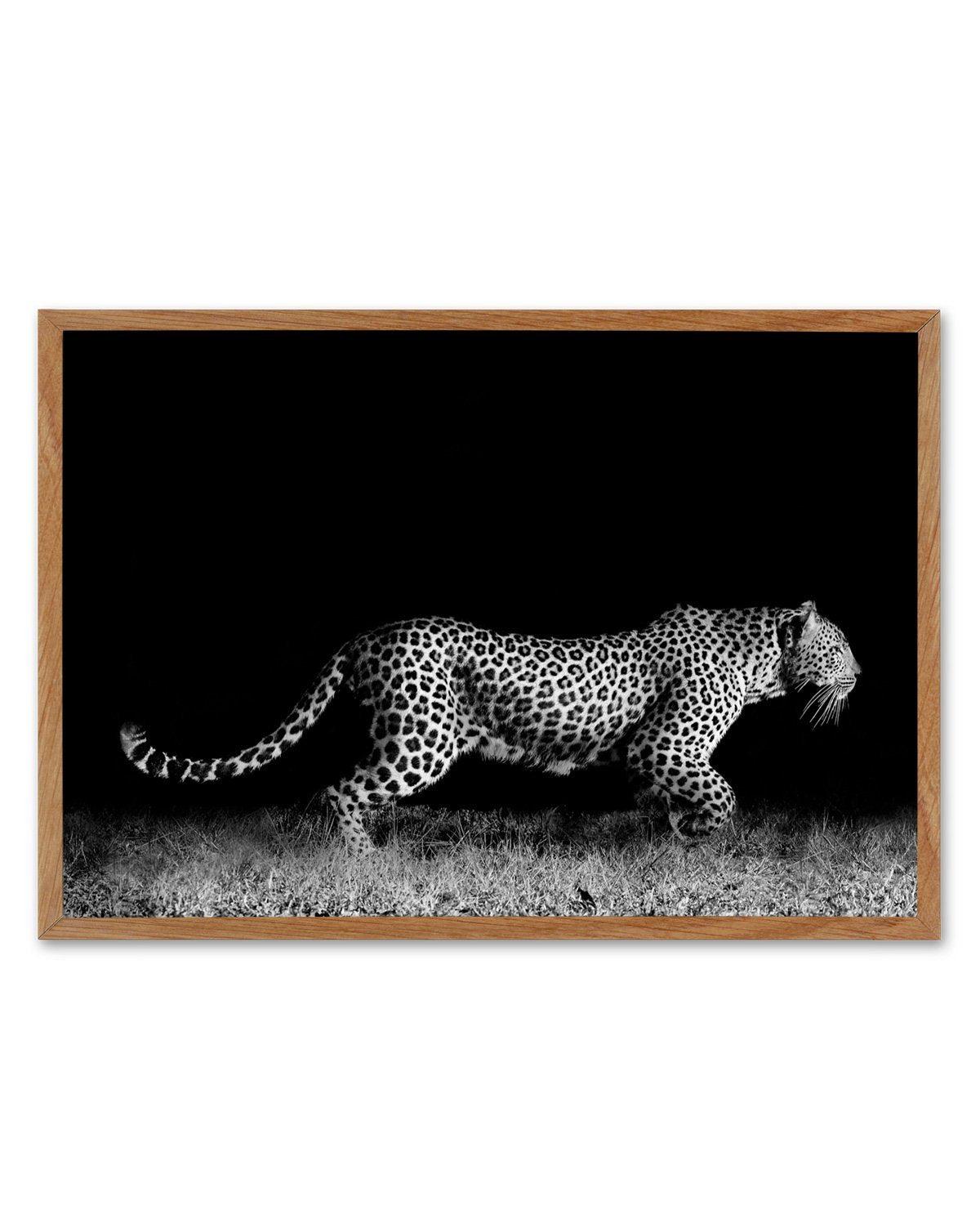 Leopard De Nuit | LS Art Print-PRINT-Olive et Oriel-Olive et Oriel-50x70 cm | 19.6" x 27.5"-Walnut-With White Border-Buy-Australian-Art-Prints-Online-with-Olive-et-Oriel-Your-Artwork-Specialists-Austrailia-Decorate-With-Coastal-Photo-Wall-Art-Prints-From-Our-Beach-House-Artwork-Collection-Fine-Poster-and-Framed-Artwork