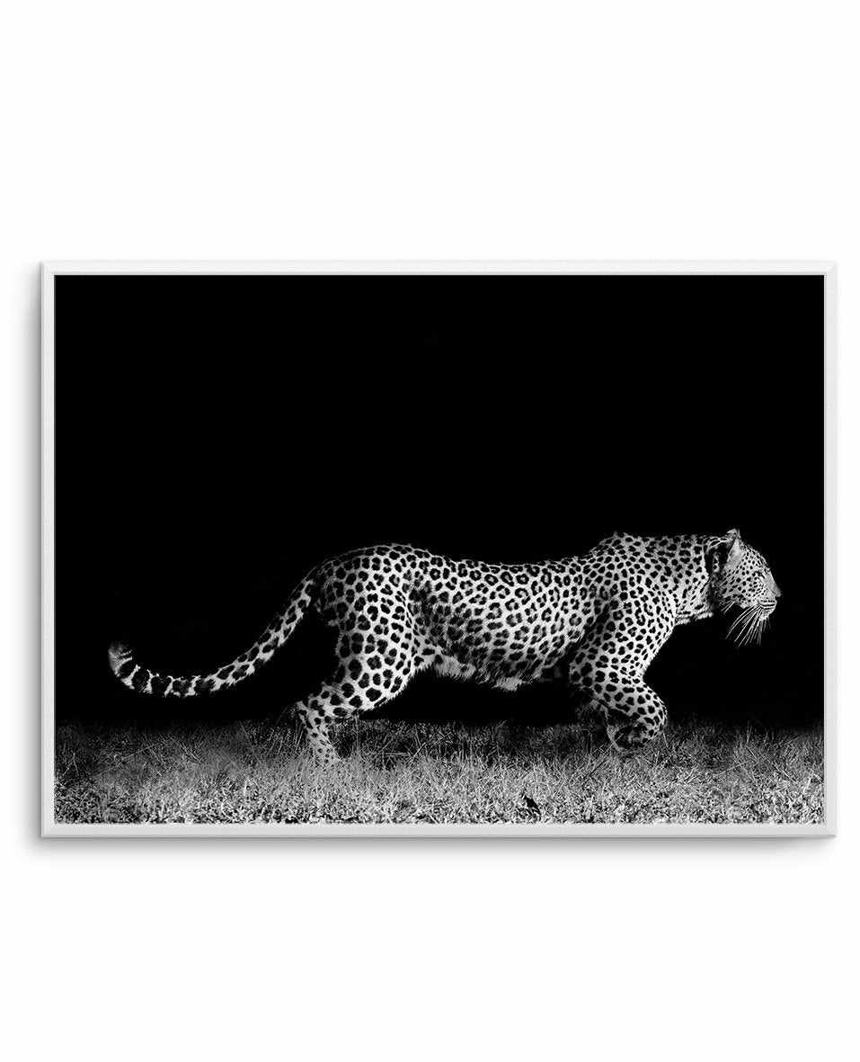 Leopard De Nuit | LS Art Print-PRINT-Olive et Oriel-Olive et Oriel-A5 | 5.8" x 8.3" | 14.8 x 21cm-Unframed Art Print-With White Border-Buy-Australian-Art-Prints-Online-with-Olive-et-Oriel-Your-Artwork-Specialists-Austrailia-Decorate-With-Coastal-Photo-Wall-Art-Prints-From-Our-Beach-House-Artwork-Collection-Fine-Poster-and-Framed-Artwork