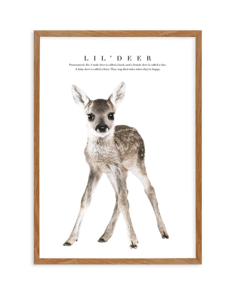 Lil' Deer Art Print-PRINT-Olive et Oriel-Olive et Oriel-50x70 cm | 19.6" x 27.5"-Walnut-With White Border-Buy-Australian-Art-Prints-Online-with-Olive-et-Oriel-Your-Artwork-Specialists-Austrailia-Decorate-With-Coastal-Photo-Wall-Art-Prints-From-Our-Beach-House-Artwork-Collection-Fine-Poster-and-Framed-Artwork