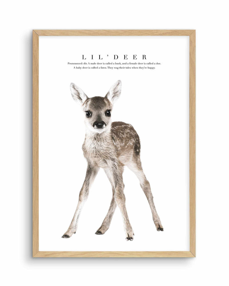 Lil' Deer Art Print-PRINT-Olive et Oriel-Olive et Oriel-A5 | 5.8" x 8.3" | 14.8 x 21cm-Oak-With White Border-Buy-Australian-Art-Prints-Online-with-Olive-et-Oriel-Your-Artwork-Specialists-Austrailia-Decorate-With-Coastal-Photo-Wall-Art-Prints-From-Our-Beach-House-Artwork-Collection-Fine-Poster-and-Framed-Artwork