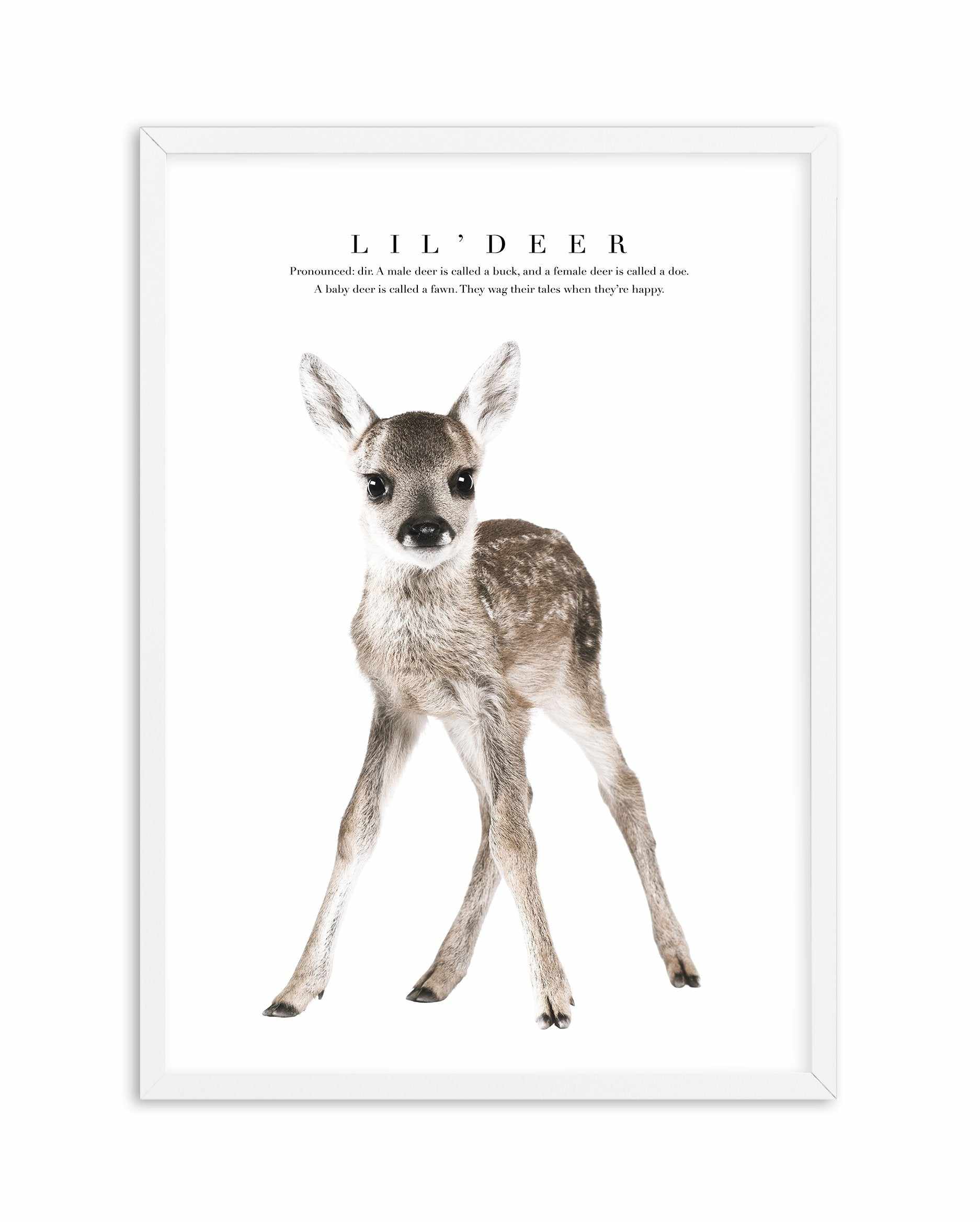 Lil' Deer Art Print-PRINT-Olive et Oriel-Olive et Oriel-A5 | 5.8" x 8.3" | 14.8 x 21cm-White-With White Border-Buy-Australian-Art-Prints-Online-with-Olive-et-Oriel-Your-Artwork-Specialists-Austrailia-Decorate-With-Coastal-Photo-Wall-Art-Prints-From-Our-Beach-House-Artwork-Collection-Fine-Poster-and-Framed-Artwork