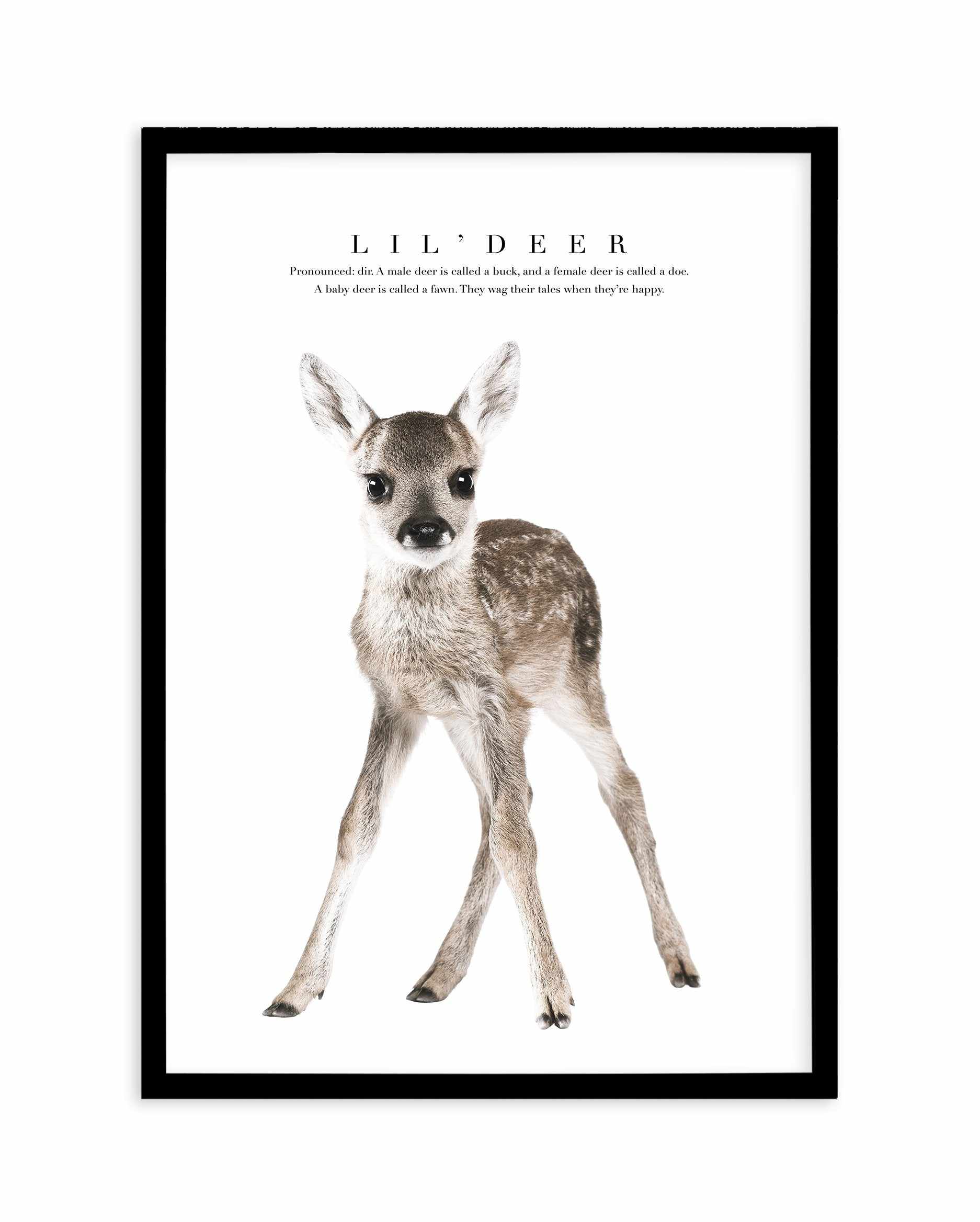 Lil' Deer Art Print-PRINT-Olive et Oriel-Olive et Oriel-A5 | 5.8" x 8.3" | 14.8 x 21cm-Black-With White Border-Buy-Australian-Art-Prints-Online-with-Olive-et-Oriel-Your-Artwork-Specialists-Austrailia-Decorate-With-Coastal-Photo-Wall-Art-Prints-From-Our-Beach-House-Artwork-Collection-Fine-Poster-and-Framed-Artwork