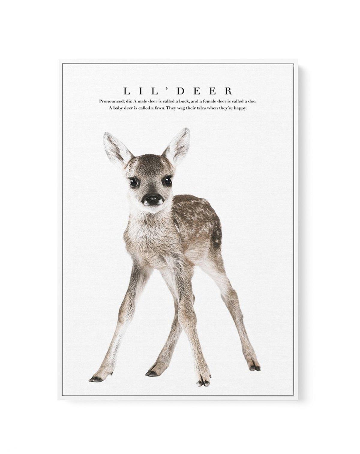 Lil' Deer | Framed Canvas-CANVAS-You can shop wall art online with Olive et Oriel for everything from abstract art to fun kids wall art. Our beautiful modern art prints and canvas art are available from large canvas prints to wall art paintings and our proudly Australian artwork collection offers only the highest quality framed large wall art and canvas art Australia - You can buy fashion photography prints or Hampton print posters and paintings on canvas from Olive et Oriel and have them delive