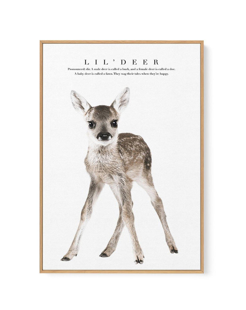 Lil' Deer | Framed Canvas-CANVAS-You can shop wall art online with Olive et Oriel for everything from abstract art to fun kids wall art. Our beautiful modern art prints and canvas art are available from large canvas prints to wall art paintings and our proudly Australian artwork collection offers only the highest quality framed large wall art and canvas art Australia - You can buy fashion photography prints or Hampton print posters and paintings on canvas from Olive et Oriel and have them delive