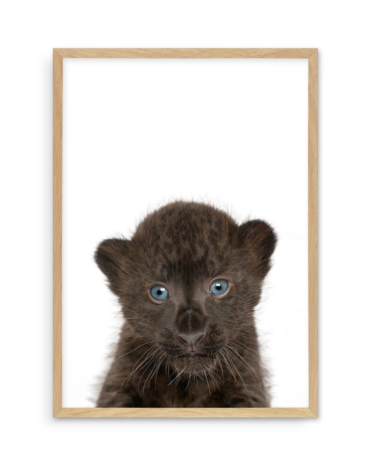 Little Black Leopard Cub Art Print-PRINT-Olive et Oriel-Olive et Oriel-A5 | 5.8" x 8.3" | 14.8 x 21cm-Oak-With White Border-Buy-Australian-Art-Prints-Online-with-Olive-et-Oriel-Your-Artwork-Specialists-Austrailia-Decorate-With-Coastal-Photo-Wall-Art-Prints-From-Our-Beach-House-Artwork-Collection-Fine-Poster-and-Framed-Artwork