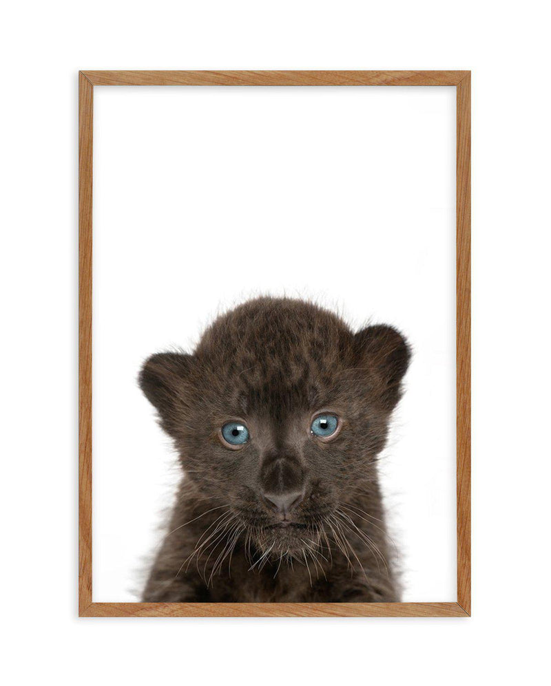 Little Black Leopard Cub Art Print-PRINT-Olive et Oriel-Olive et Oriel-Buy-Australian-Art-Prints-Online-with-Olive-et-Oriel-Your-Artwork-Specialists-Austrailia-Decorate-With-Coastal-Photo-Wall-Art-Prints-From-Our-Beach-House-Artwork-Collection-Fine-Poster-and-Framed-Artwork