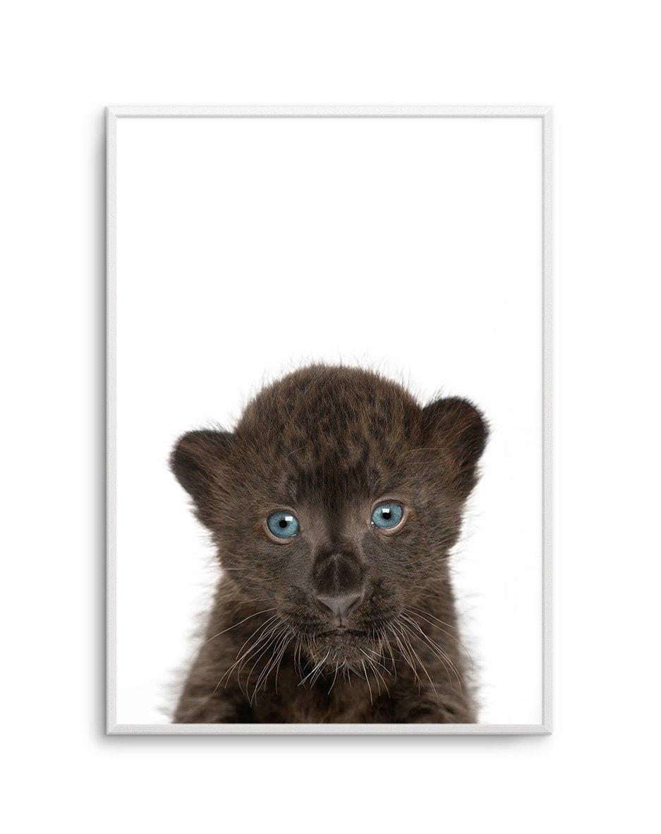 Little Black Leopard Cub Art Print-PRINT-Olive et Oriel-Olive et Oriel-A5 | 5.8" x 8.3" | 14.8 x 21cm-Unframed Art Print-With White Border-Buy-Australian-Art-Prints-Online-with-Olive-et-Oriel-Your-Artwork-Specialists-Austrailia-Decorate-With-Coastal-Photo-Wall-Art-Prints-From-Our-Beach-House-Artwork-Collection-Fine-Poster-and-Framed-Artwork