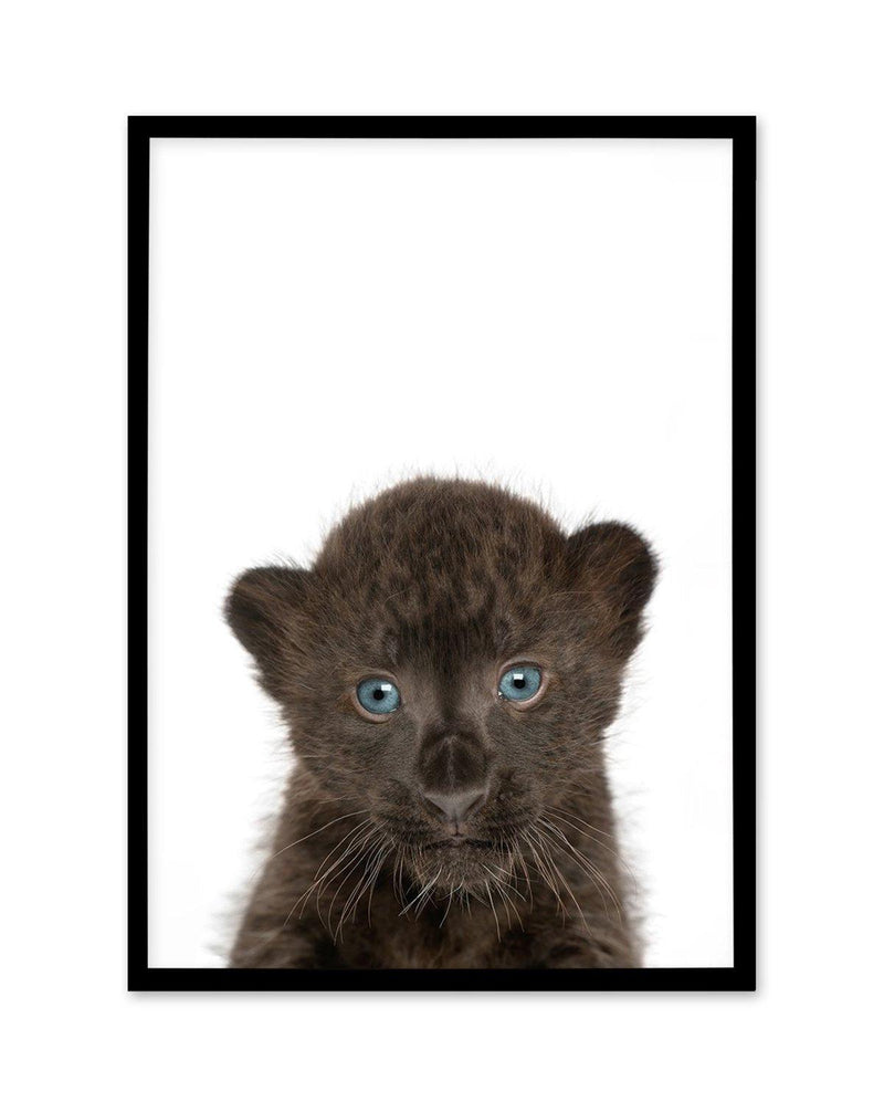 Little Black Leopard Cub Art Print-PRINT-Olive et Oriel-Olive et Oriel-A5 | 5.8" x 8.3" | 14.8 x 21cm-Black-With White Border-Buy-Australian-Art-Prints-Online-with-Olive-et-Oriel-Your-Artwork-Specialists-Austrailia-Decorate-With-Coastal-Photo-Wall-Art-Prints-From-Our-Beach-House-Artwork-Collection-Fine-Poster-and-Framed-Artwork