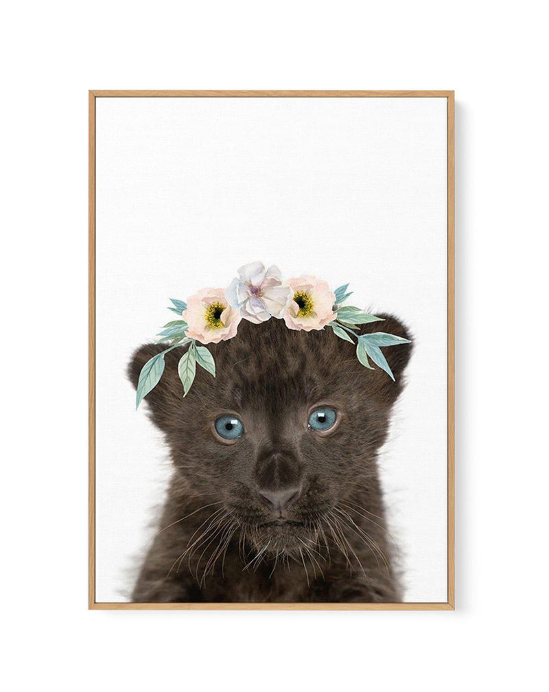 Little Black Leopard Cub | Flower Crown | Framed Canvas-CANVAS-You can shop wall art online with Olive et Oriel for everything from abstract art to fun kids wall art. Our beautiful modern art prints and canvas art are available from large canvas prints to wall art paintings and our proudly Australian artwork collection offers only the highest quality framed large wall art and canvas art Australia - You can buy fashion photography prints or Hampton print posters and paintings on canvas from Olive
