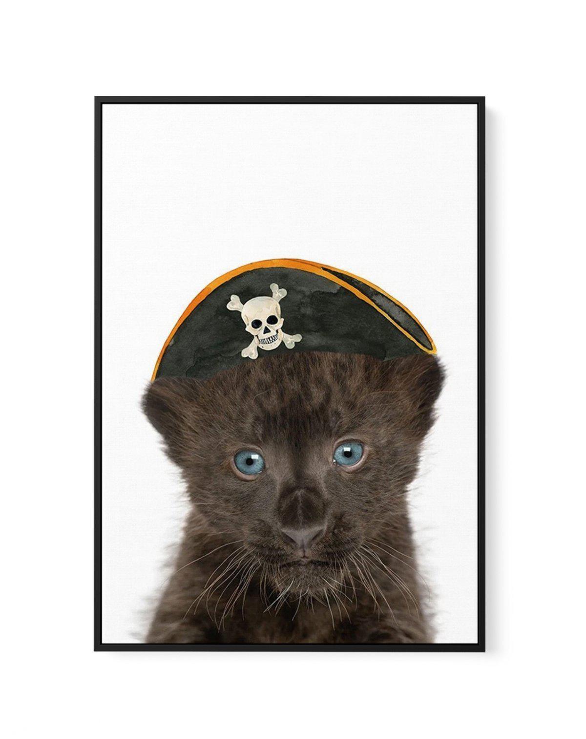 Little Black Leopard Cub | Pirate Hat | Framed Canvas-CANVAS-You can shop wall art online with Olive et Oriel for everything from abstract art to fun kids wall art. Our beautiful modern art prints and canvas art are available from large canvas prints to wall art paintings and our proudly Australian artwork collection offers only the highest quality framed large wall art and canvas art Australia - You can buy fashion photography prints or Hampton print posters and paintings on canvas from Olive e