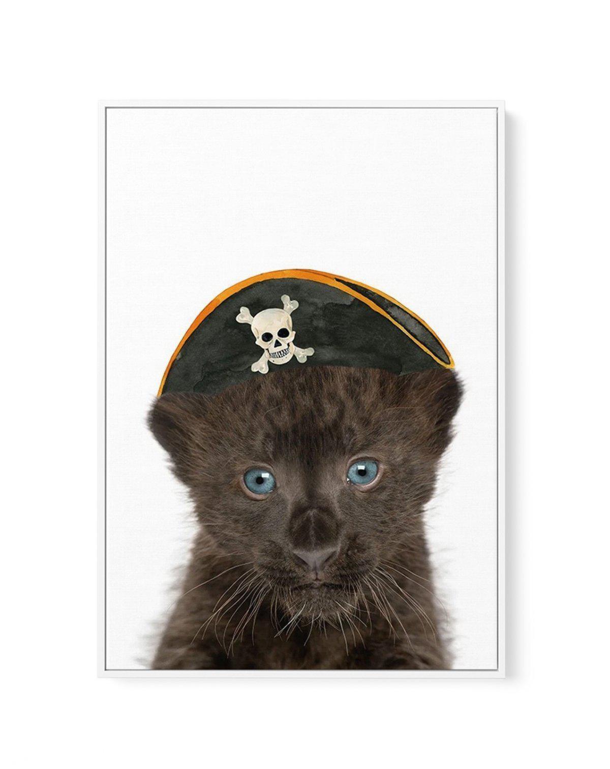 Little Black Leopard Cub | Pirate Hat | Framed Canvas-CANVAS-You can shop wall art online with Olive et Oriel for everything from abstract art to fun kids wall art. Our beautiful modern art prints and canvas art are available from large canvas prints to wall art paintings and our proudly Australian artwork collection offers only the highest quality framed large wall art and canvas art Australia - You can buy fashion photography prints or Hampton print posters and paintings on canvas from Olive e