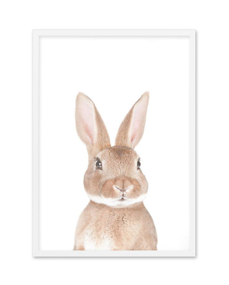 Little Bunny Art Print-PRINT-Olive et Oriel-Olive et Oriel-A5 | 5.8" x 8.3" | 14.8 x 21cm-White-With White Border-Buy-Australian-Art-Prints-Online-with-Olive-et-Oriel-Your-Artwork-Specialists-Austrailia-Decorate-With-Coastal-Photo-Wall-Art-Prints-From-Our-Beach-House-Artwork-Collection-Fine-Poster-and-Framed-Artwork