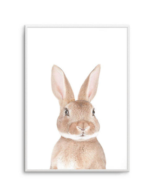 Little Bunny Art Print-PRINT-Olive et Oriel-Olive et Oriel-A5 | 5.8" x 8.3" | 14.8 x 21cm-Unframed Art Print-With White Border-Buy-Australian-Art-Prints-Online-with-Olive-et-Oriel-Your-Artwork-Specialists-Austrailia-Decorate-With-Coastal-Photo-Wall-Art-Prints-From-Our-Beach-House-Artwork-Collection-Fine-Poster-and-Framed-Artwork