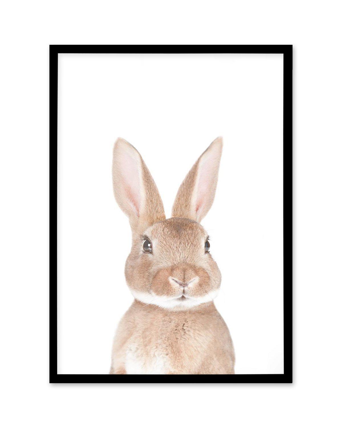 Little Bunny Art Print-PRINT-Olive et Oriel-Olive et Oriel-A5 | 5.8" x 8.3" | 14.8 x 21cm-Black-With White Border-Buy-Australian-Art-Prints-Online-with-Olive-et-Oriel-Your-Artwork-Specialists-Austrailia-Decorate-With-Coastal-Photo-Wall-Art-Prints-From-Our-Beach-House-Artwork-Collection-Fine-Poster-and-Framed-Artwork