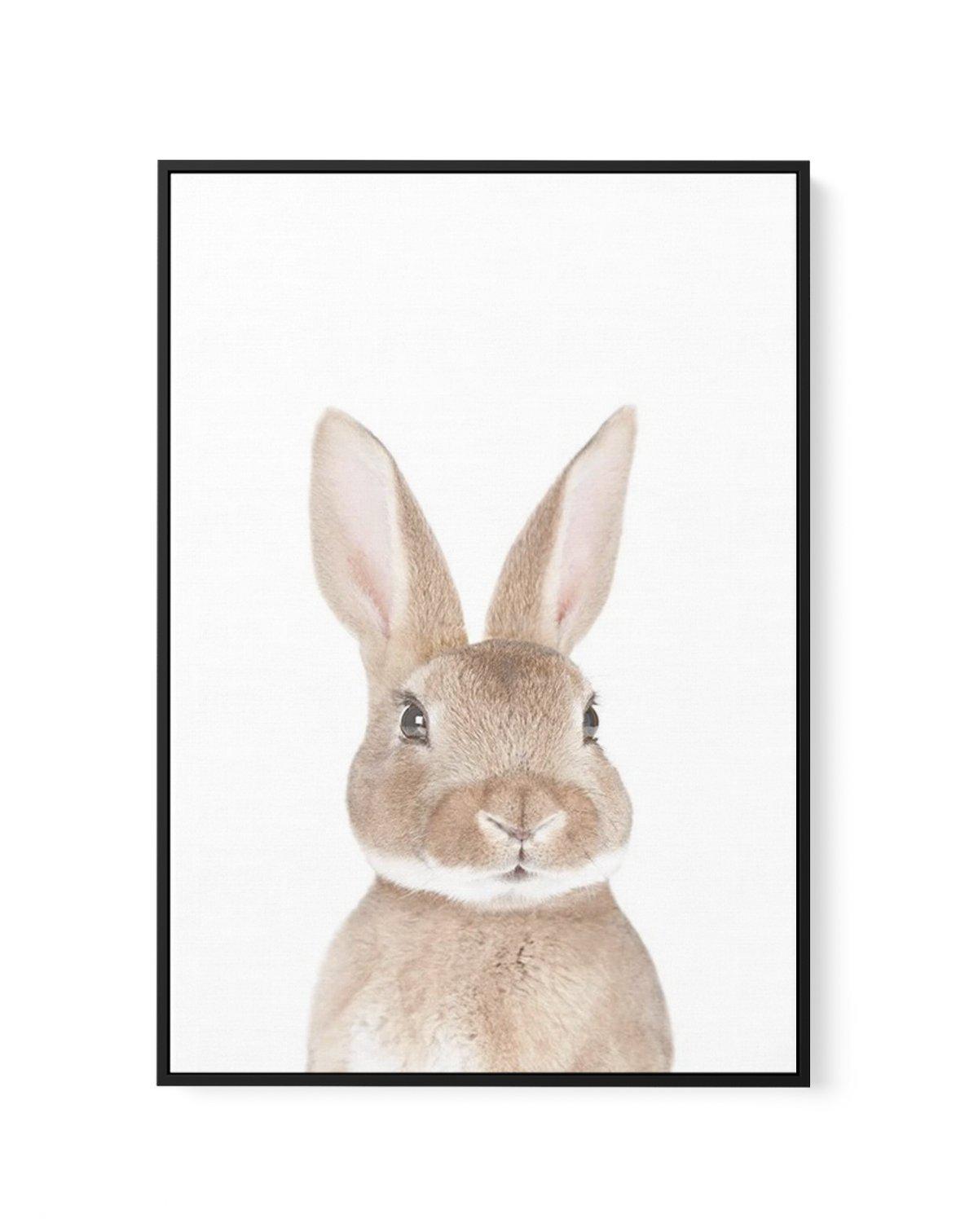 Little Bunny | Framed Canvas-CANVAS-You can shop wall art online with Olive et Oriel for everything from abstract art to fun kids wall art. Our beautiful modern art prints and canvas art are available from large canvas prints to wall art paintings and our proudly Australian artwork collection offers only the highest quality framed large wall art and canvas art Australia - You can buy fashion photography prints or Hampton print posters and paintings on canvas from Olive et Oriel and have them del