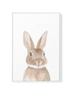 Little Bunny | Framed Canvas-CANVAS-You can shop wall art online with Olive et Oriel for everything from abstract art to fun kids wall art. Our beautiful modern art prints and canvas art are available from large canvas prints to wall art paintings and our proudly Australian artwork collection offers only the highest quality framed large wall art and canvas art Australia - You can buy fashion photography prints or Hampton print posters and paintings on canvas from Olive et Oriel and have them del