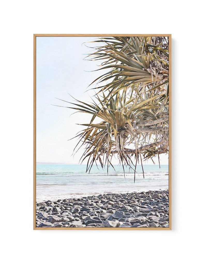 Little Cove Noosa | PT | Framed Canvas-CANVAS-You can shop wall art online with Olive et Oriel for everything from abstract art to fun kids wall art. Our beautiful modern art prints and canvas art are available from large canvas prints to wall art paintings and our proudly Australian artwork collection offers only the highest quality framed large wall art and canvas art Australia - You can buy fashion photography prints or Hampton print posters and paintings on canvas from Olive et Oriel and hav