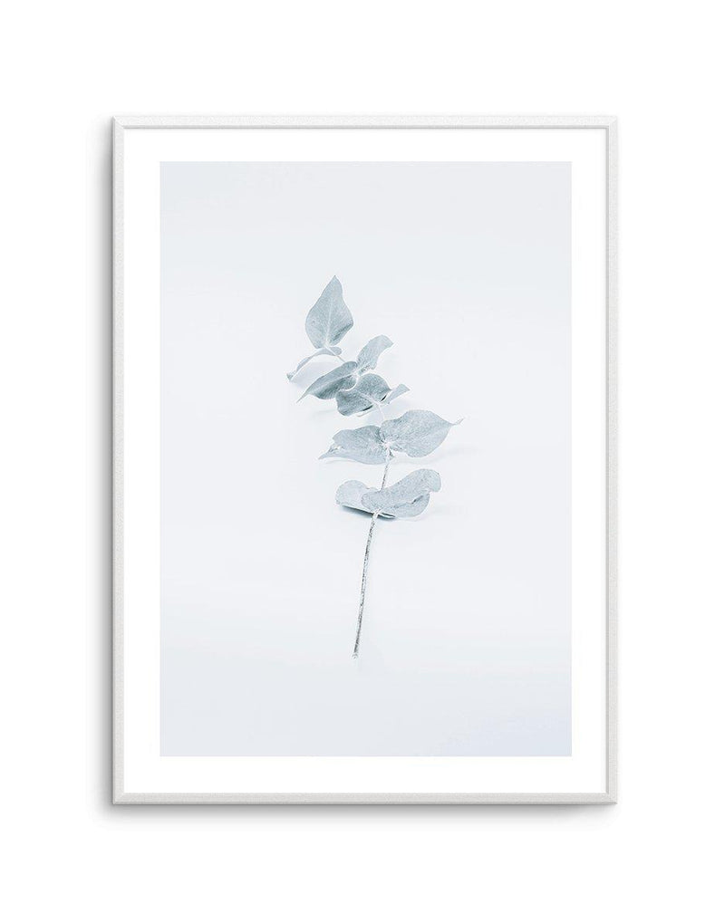 Little Eucalyptus Art Print-PRINT-Olive et Oriel-Olive et Oriel-A4 | 8.3" x 11.7" | 21 x 29.7cm-Unframed Art Print-With White Border-Buy-Australian-Art-Prints-Online-with-Olive-et-Oriel-Your-Artwork-Specialists-Austrailia-Decorate-With-Coastal-Photo-Wall-Art-Prints-From-Our-Beach-House-Artwork-Collection-Fine-Poster-and-Framed-Artwork