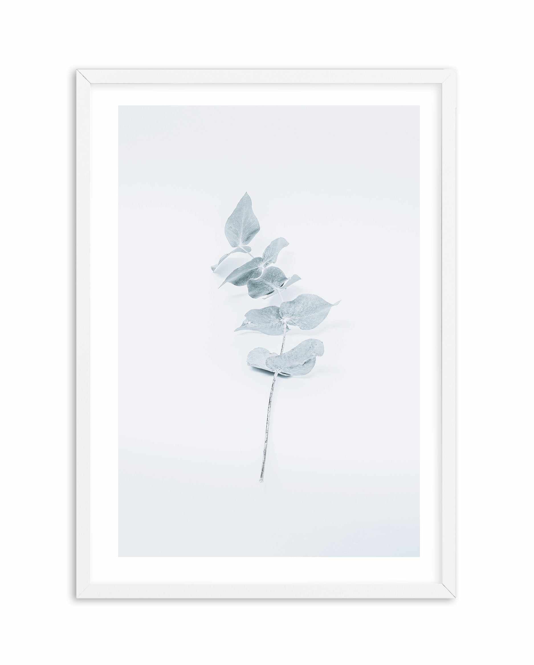 Little Eucalyptus Art Print-PRINT-Olive et Oriel-Olive et Oriel-A4 | 8.3" x 11.7" | 21 x 29.7cm-White-With White Border-Buy-Australian-Art-Prints-Online-with-Olive-et-Oriel-Your-Artwork-Specialists-Austrailia-Decorate-With-Coastal-Photo-Wall-Art-Prints-From-Our-Beach-House-Artwork-Collection-Fine-Poster-and-Framed-Artwork