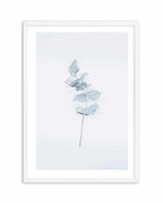 Little Eucalyptus Art Print-PRINT-Olive et Oriel-Olive et Oriel-A4 | 8.3" x 11.7" | 21 x 29.7cm-White-With White Border-Buy-Australian-Art-Prints-Online-with-Olive-et-Oriel-Your-Artwork-Specialists-Austrailia-Decorate-With-Coastal-Photo-Wall-Art-Prints-From-Our-Beach-House-Artwork-Collection-Fine-Poster-and-Framed-Artwork