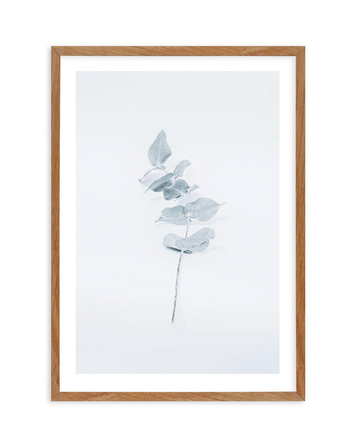 Little Eucalyptus Art Print-PRINT-Olive et Oriel-Olive et Oriel-50x70 cm | 19.6" x 27.5"-Walnut-With White Border-Buy-Australian-Art-Prints-Online-with-Olive-et-Oriel-Your-Artwork-Specialists-Austrailia-Decorate-With-Coastal-Photo-Wall-Art-Prints-From-Our-Beach-House-Artwork-Collection-Fine-Poster-and-Framed-Artwork