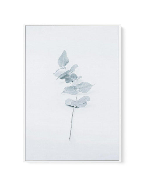Little Eucalyptus | Framed Canvas-CANVAS-You can shop wall art online with Olive et Oriel for everything from abstract art to fun kids wall art. Our beautiful modern art prints and canvas art are available from large canvas prints to wall art paintings and our proudly Australian artwork collection offers only the highest quality framed large wall art and canvas art Australia - You can buy fashion photography prints or Hampton print posters and paintings on canvas from Olive et Oriel and have the