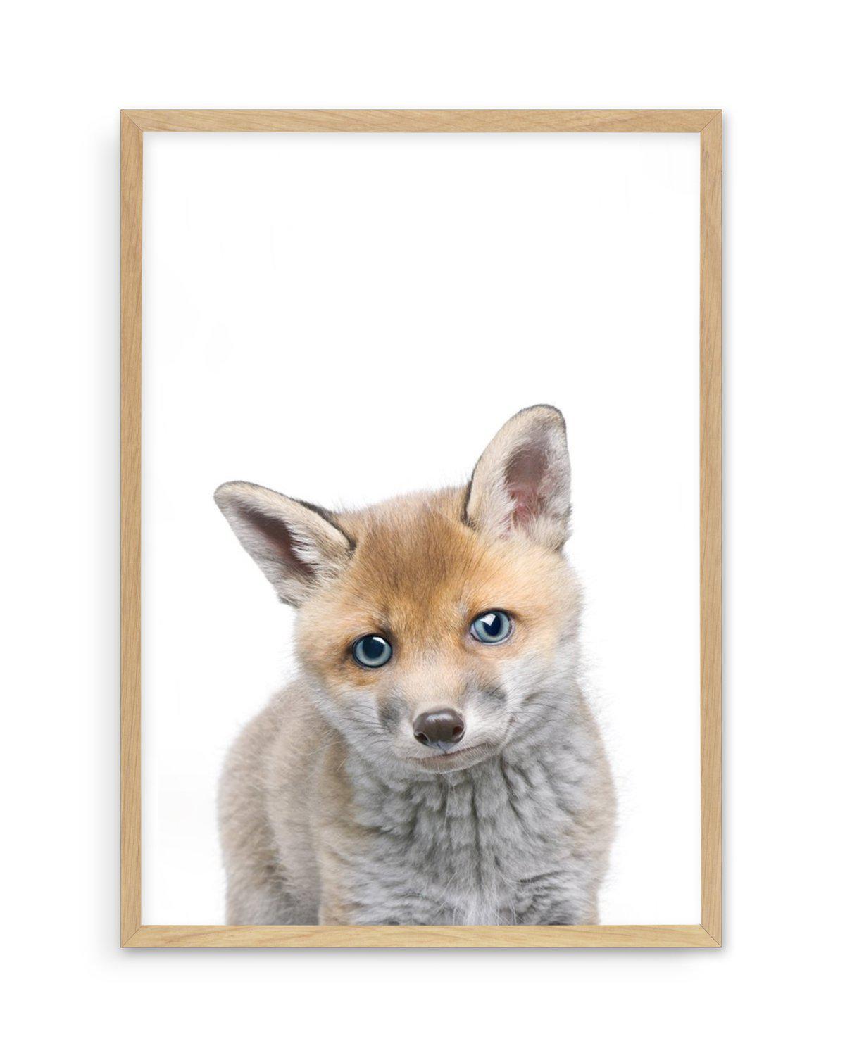 Little Fox Art Print-PRINT-Olive et Oriel-Olive et Oriel-A5 | 5.8" x 8.3" | 14.8 x 21cm-Oak-With White Border-Buy-Australian-Art-Prints-Online-with-Olive-et-Oriel-Your-Artwork-Specialists-Austrailia-Decorate-With-Coastal-Photo-Wall-Art-Prints-From-Our-Beach-House-Artwork-Collection-Fine-Poster-and-Framed-Artwork