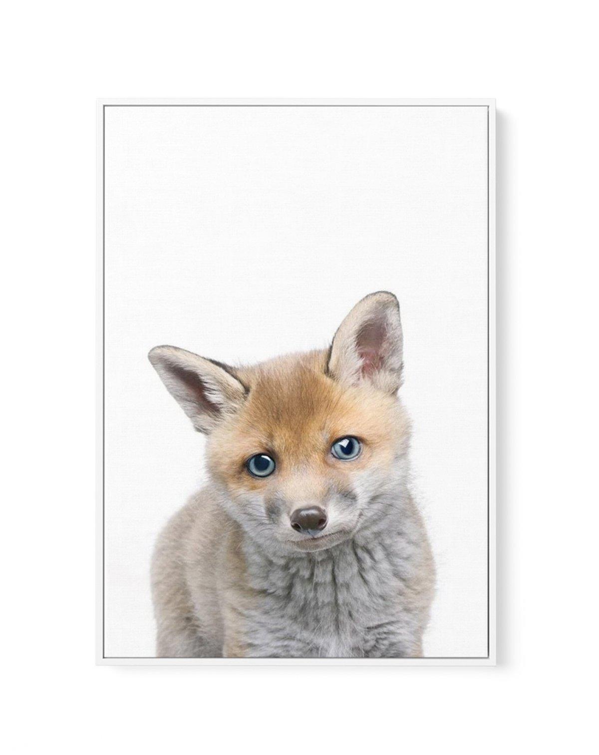 Little Fox | Framed Canvas-CANVAS-You can shop wall art online with Olive et Oriel for everything from abstract art to fun kids wall art. Our beautiful modern art prints and canvas art are available from large canvas prints to wall art paintings and our proudly Australian artwork collection offers only the highest quality framed large wall art and canvas art Australia - You can buy fashion photography prints or Hampton print posters and paintings on canvas from Olive et Oriel and have them deliv