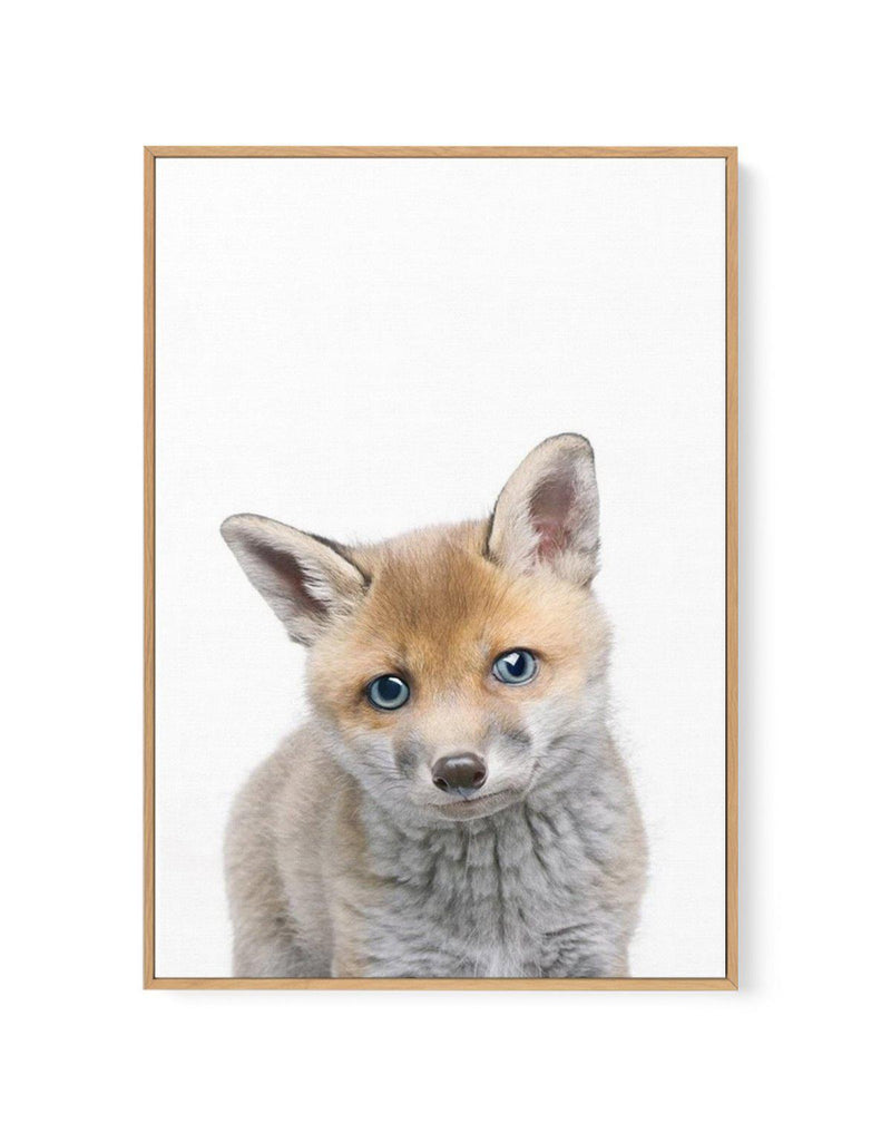 Little Fox | Framed Canvas-CANVAS-You can shop wall art online with Olive et Oriel for everything from abstract art to fun kids wall art. Our beautiful modern art prints and canvas art are available from large canvas prints to wall art paintings and our proudly Australian artwork collection offers only the highest quality framed large wall art and canvas art Australia - You can buy fashion photography prints or Hampton print posters and paintings on canvas from Olive et Oriel and have them deliv