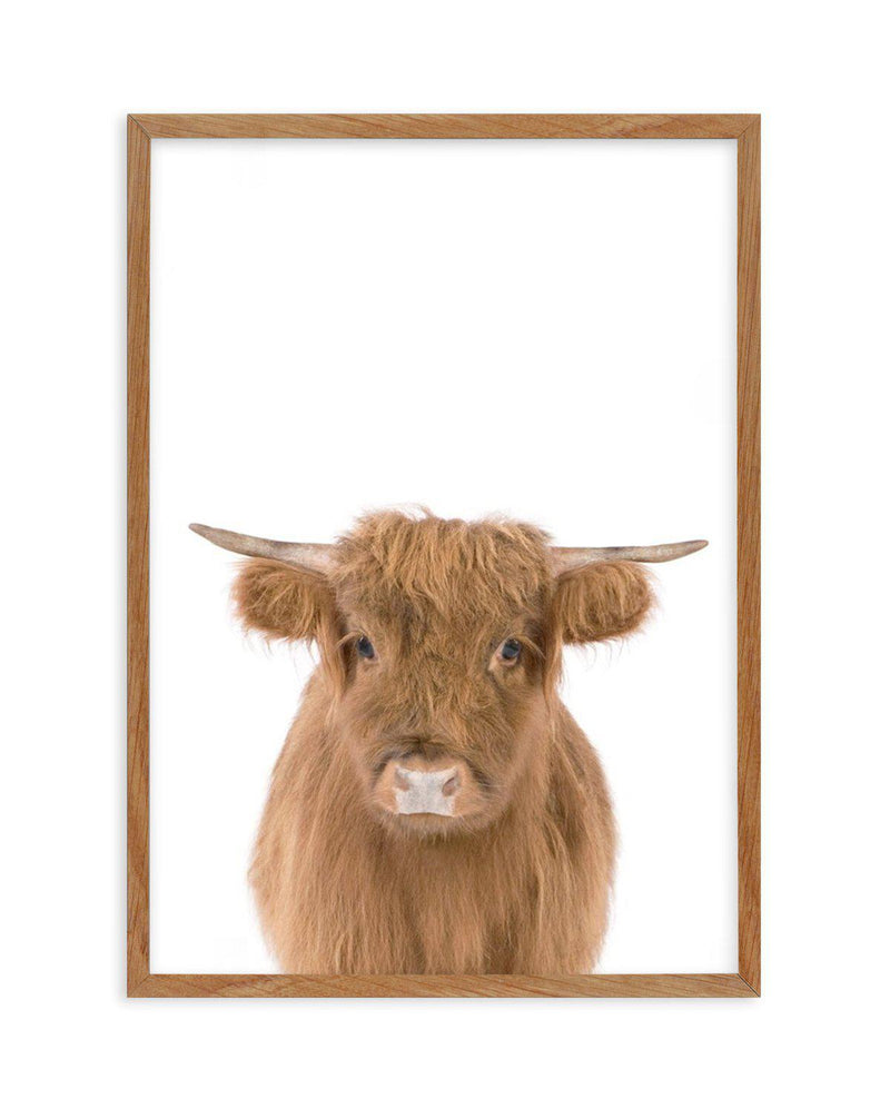 Little Highlander Cow Art Print-PRINT-Olive et Oriel-Olive et Oriel-Buy-Australian-Art-Prints-Online-with-Olive-et-Oriel-Your-Artwork-Specialists-Austrailia-Decorate-With-Coastal-Photo-Wall-Art-Prints-From-Our-Beach-House-Artwork-Collection-Fine-Poster-and-Framed-Artwork