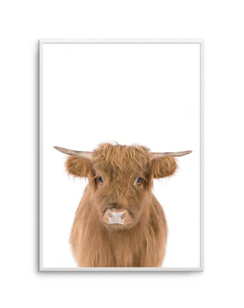 Little Highlander Cow Art Print-PRINT-Olive et Oriel-Olive et Oriel-A5 | 5.8" x 8.3" | 14.8 x 21cm-Unframed Art Print-With White Border-Buy-Australian-Art-Prints-Online-with-Olive-et-Oriel-Your-Artwork-Specialists-Austrailia-Decorate-With-Coastal-Photo-Wall-Art-Prints-From-Our-Beach-House-Artwork-Collection-Fine-Poster-and-Framed-Artwork