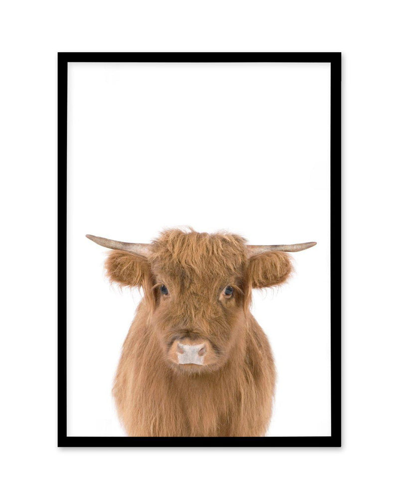 Little Highlander Cow Art Print-PRINT-Olive et Oriel-Olive et Oriel-A5 | 5.8" x 8.3" | 14.8 x 21cm-Black-With White Border-Buy-Australian-Art-Prints-Online-with-Olive-et-Oriel-Your-Artwork-Specialists-Austrailia-Decorate-With-Coastal-Photo-Wall-Art-Prints-From-Our-Beach-House-Artwork-Collection-Fine-Poster-and-Framed-Artwork