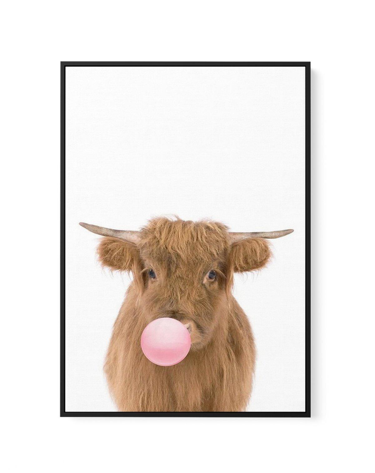 Little Highlander Cow | Blowing Pink Bubble | Framed Canvas-CANVAS-You can shop wall art online with Olive et Oriel for everything from abstract art to fun kids wall art. Our beautiful modern art prints and canvas art are available from large canvas prints to wall art paintings and our proudly Australian artwork collection offers only the highest quality framed large wall art and canvas art Australia - You can buy fashion photography prints or Hampton print posters and paintings on canvas from O