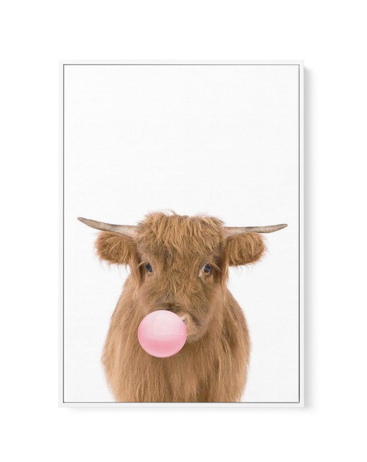 Little Highlander Cow | Blowing Pink Bubble | Framed Canvas-CANVAS-You can shop wall art online with Olive et Oriel for everything from abstract art to fun kids wall art. Our beautiful modern art prints and canvas art are available from large canvas prints to wall art paintings and our proudly Australian artwork collection offers only the highest quality framed large wall art and canvas art Australia - You can buy fashion photography prints or Hampton print posters and paintings on canvas from O