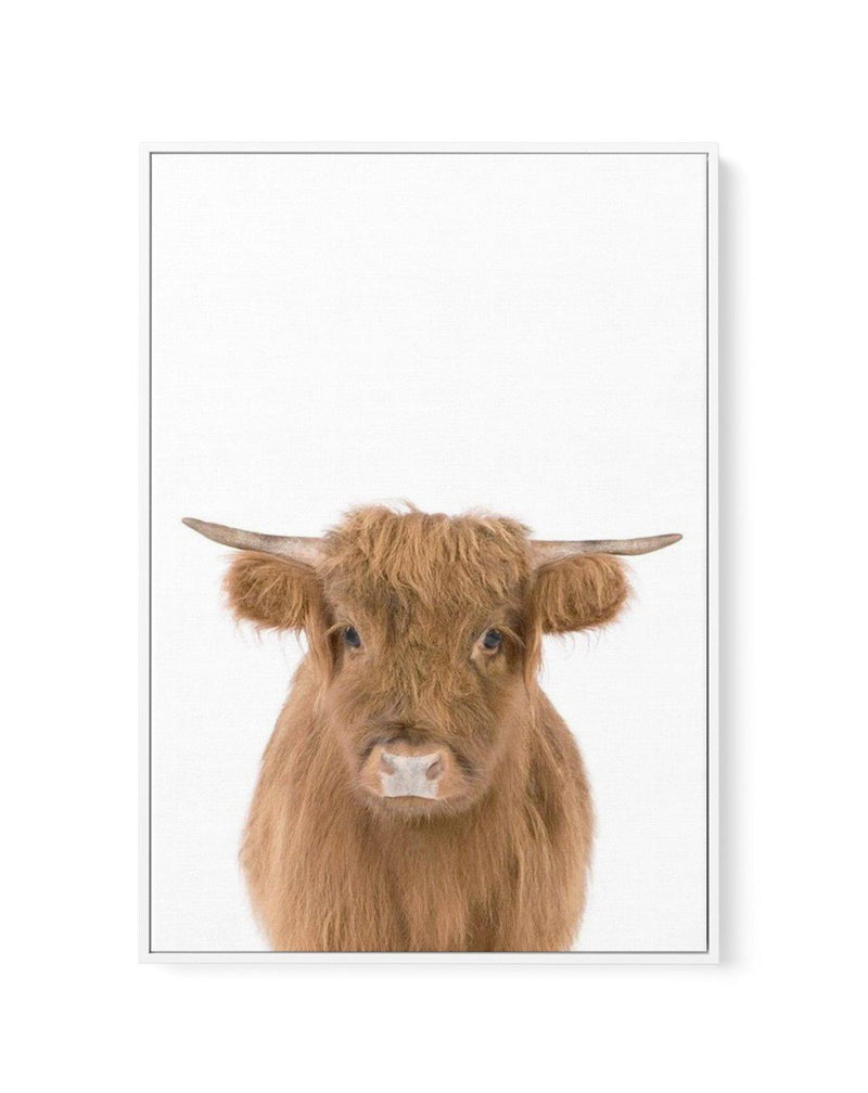 Little Highlander Cow | Framed Canvas-CANVAS-You can shop wall art online with Olive et Oriel for everything from abstract art to fun kids wall art. Our beautiful modern art prints and canvas art are available from large canvas prints to wall art paintings and our proudly Australian artwork collection offers only the highest quality framed large wall art and canvas art Australia - You can buy fashion photography prints or Hampton print posters and paintings on canvas from Olive et Oriel and have