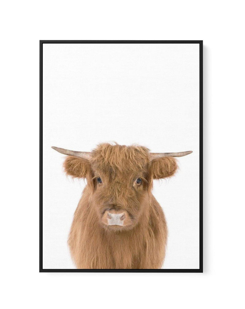 Little Highlander Cow | Framed Canvas-CANVAS-You can shop wall art online with Olive et Oriel for everything from abstract art to fun kids wall art. Our beautiful modern art prints and canvas art are available from large canvas prints to wall art paintings and our proudly Australian artwork collection offers only the highest quality framed large wall art and canvas art Australia - You can buy fashion photography prints or Hampton print posters and paintings on canvas from Olive et Oriel and have
